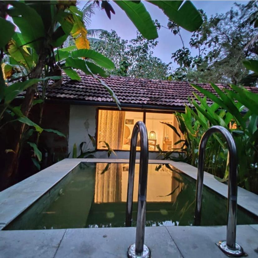 Bed and Breakfast Sunsets And Palm Trees Alappuzha Екстер'єр фото