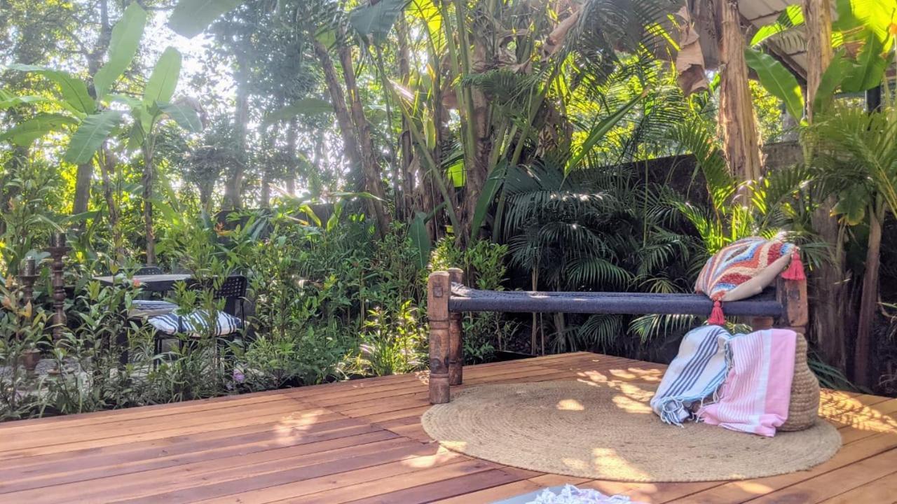 Bed and Breakfast Sunsets And Palm Trees Alappuzha Номер фото